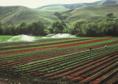 agriculture_crops_irrigation_field_farming_plantings_cultivation_landscape-764391